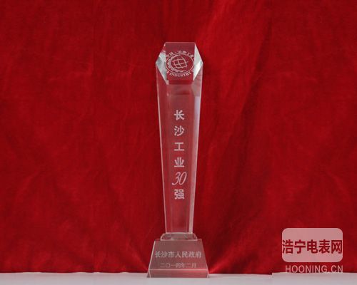 威勝集團榮獲“2013年度長沙工業(yè)三十強”等榮譽稱號